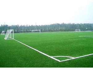 Gym Floor Football Turf Artificial Football Grass Price, Green Gym Used Indoor Artificial Grass for Gym