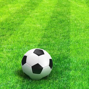 soccer artificial turf